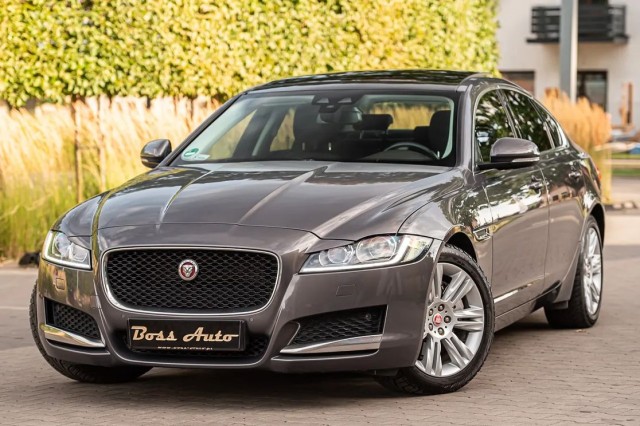 jaguar