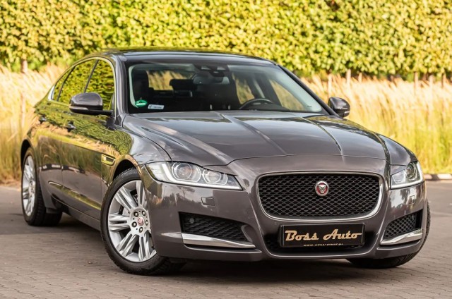 jaguar